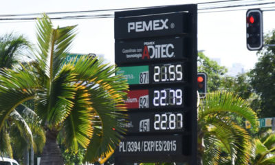 Subsidio al IEPS de gasolina es para mantener precios de 2018: Profeco