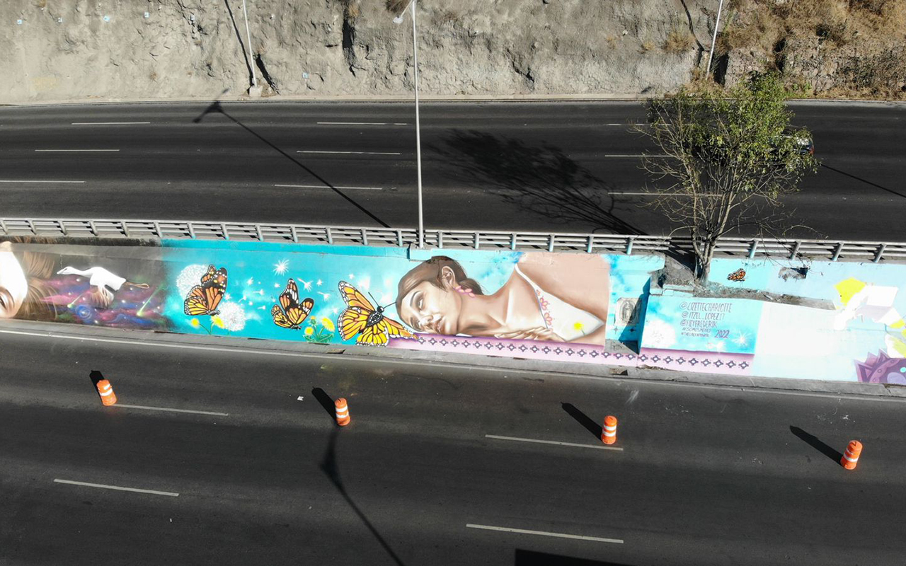 Artistas urbanos plasman obra sobre autopista