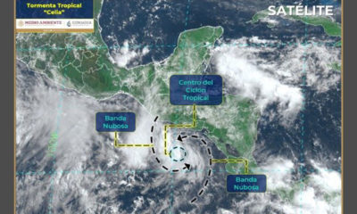 Se desarrolla la Tormenta Tropical Celia en Océano Pacífico