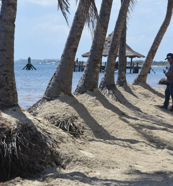Extraen ilegalmente arena de playas mexicanas; piden sanciones