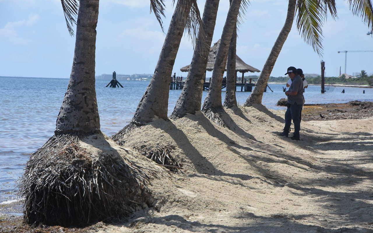 Extraen ilegalmente arena de playas mexicanas; piden sanciones