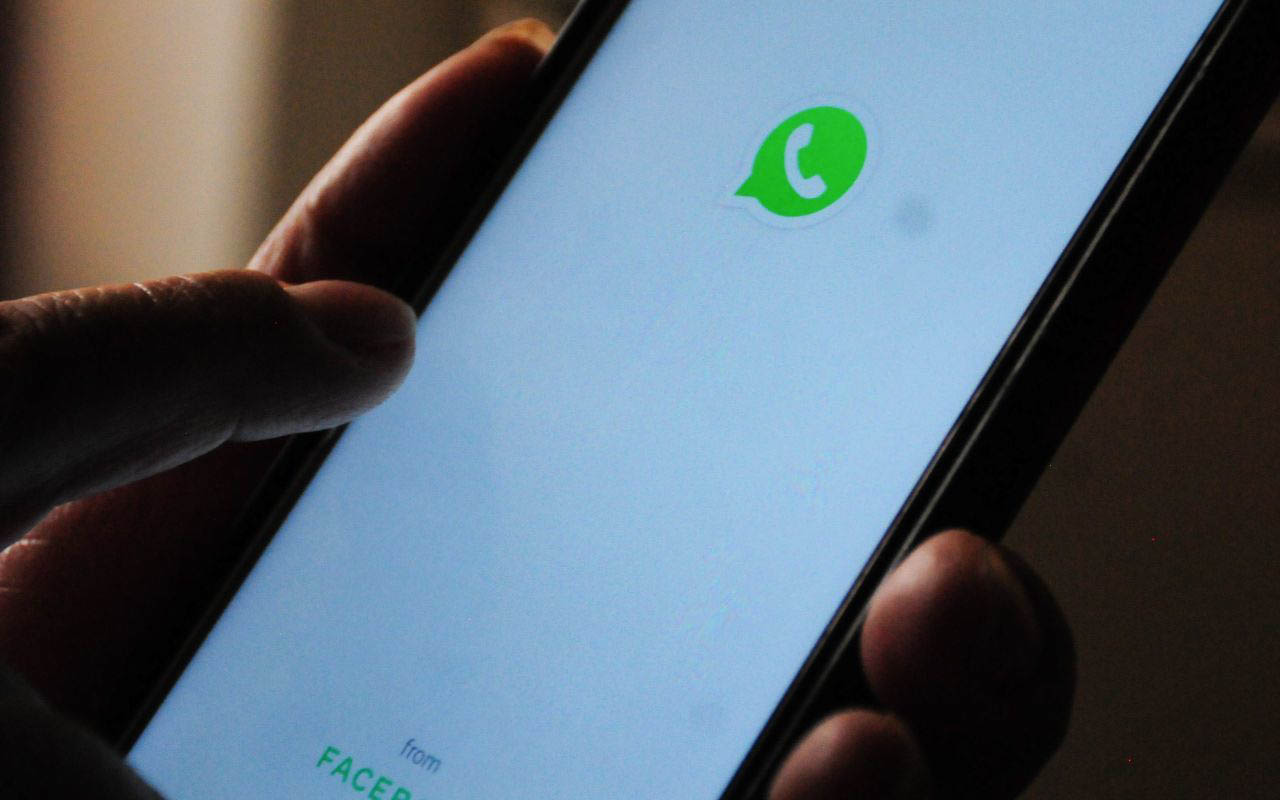 ¿En un grupo de WhatsApp debe haber reglas?… esto dicen los expertos