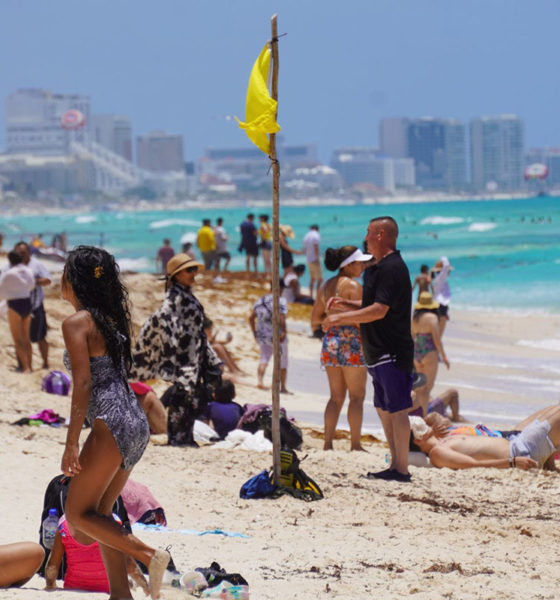 Playas del país son aptas para uso recreativo durante este verano: Cofepris