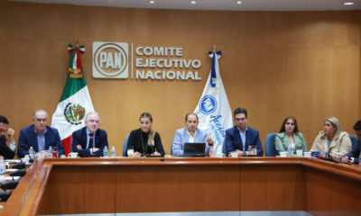 PAN pide a legisladores del PRI anteponer interés nacional por encima de particulares