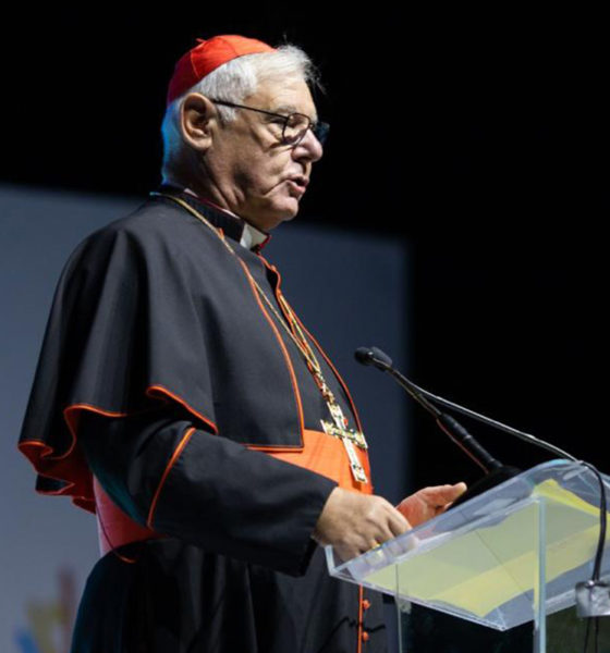 “Nihilismo antropológico es peligroso para la Iglesia”: Cardenal Gerdhard Müller