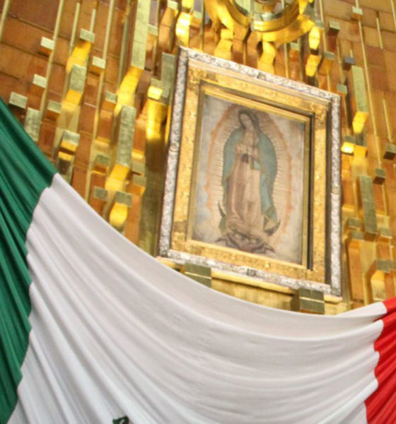 Papa Francisco celebrará Misa en honor a la Virgen de Guadalupe