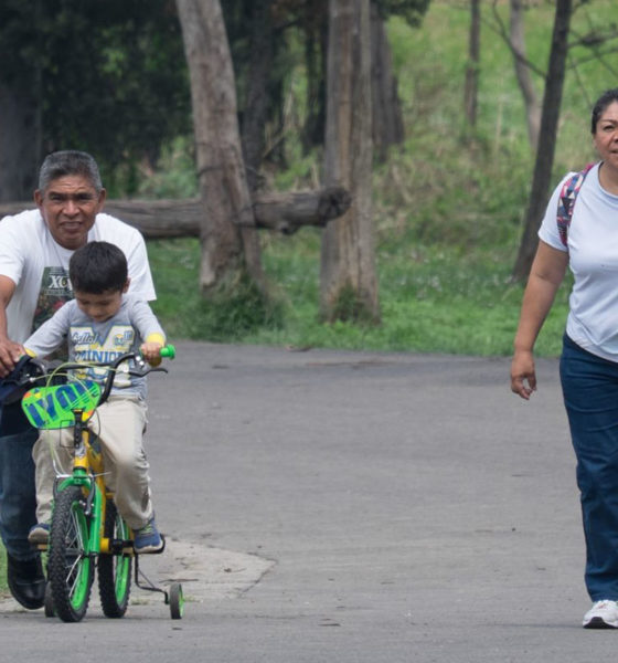 “La familia es la institución más importante que existe”: Arquidiócesis de México