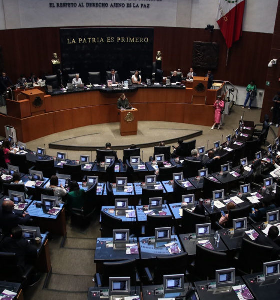 Avalan comisiones del Senado nuevo Código Nacional de Procedimientos Civiles y Familiares