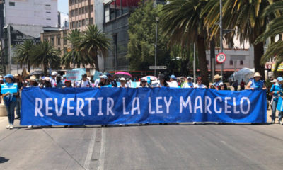 Marcha por la Vida: Exigen revertir “Ley Marcelo” que ha permitido el aborto en México y que promueve Sheinbaum