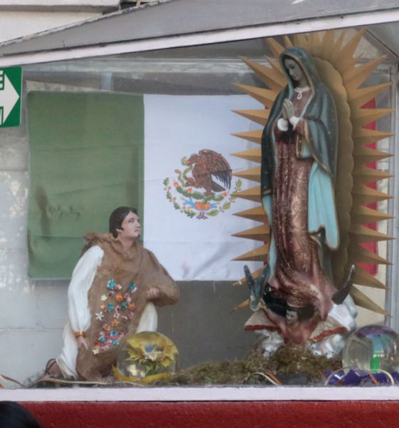 Virgen de Guadalupe es madre de todos los sacerdotes: Cardenal Sarah