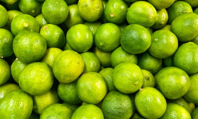 Limón