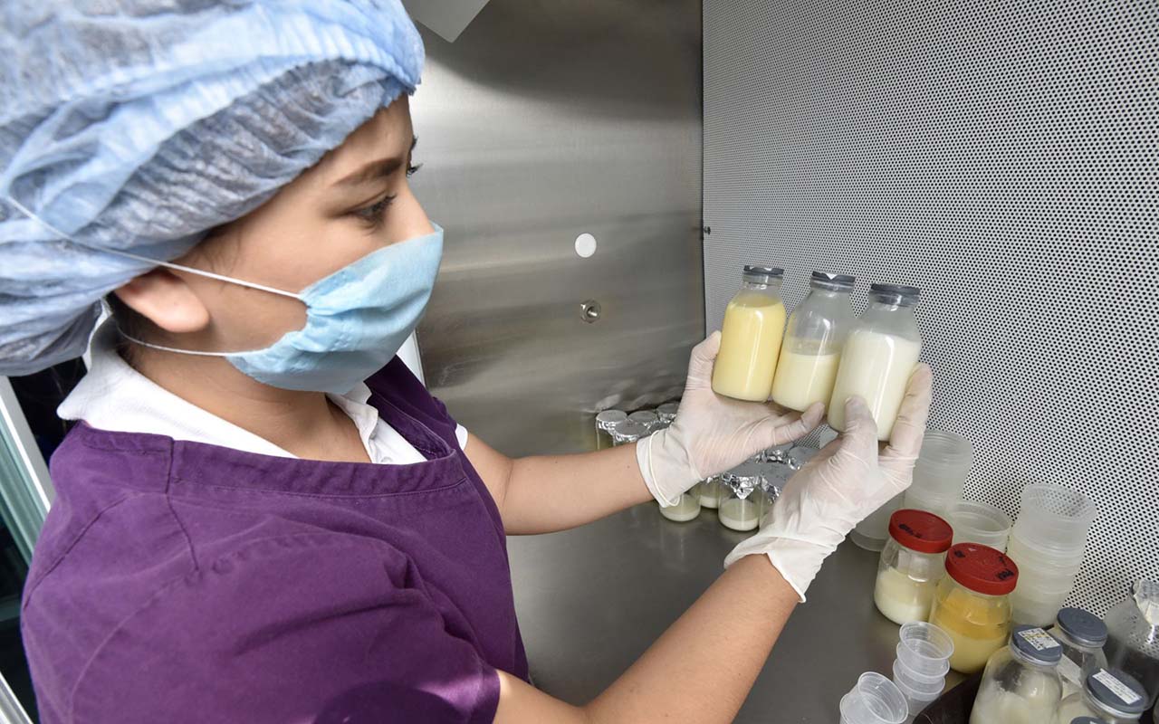 Donación de leche materna garantiza que recién nacidos reciban alimento de calidad: senadora