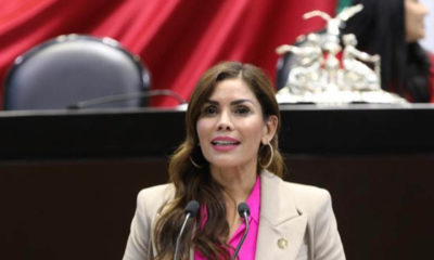 “Los padres de familia nos pronunciamos en contra del contenido de los libros de texto”: diputada