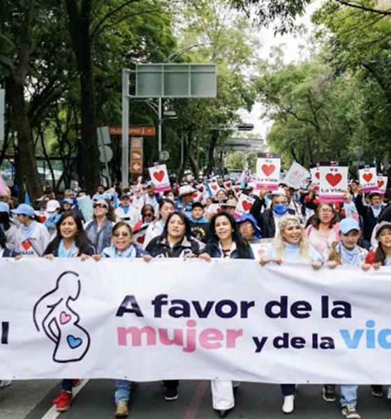 Para inspirar confianza en la vida, mexicanos marcharán en favor de la mujer