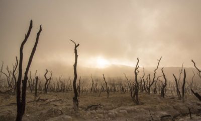 Cambio Climático