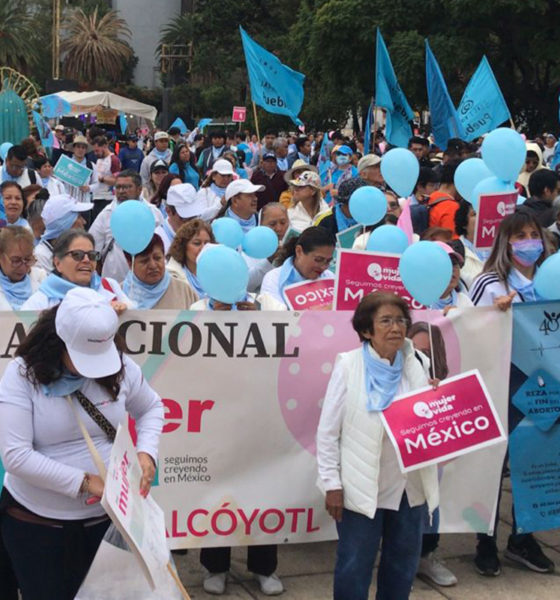 “Urge generar propuestas de protección a la mujer embarazada”: Pilar Rebollo