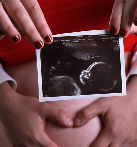Alertan por “Megalodón Legislativo” que busca despenalizar el aborto hasta los 9 meses
