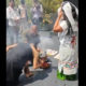 Polémica en el Senado: Legislador de Morena organiza ritual con sacrificio de gallina