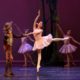 El ballet Don Quijote, adaptación dancística de la Compañía Nacional de Danza (CND), basada en la versión original de Marius Petipa, se presentó en el Teatro de las Artes del Centro Nacional de las Artes (Cenart).