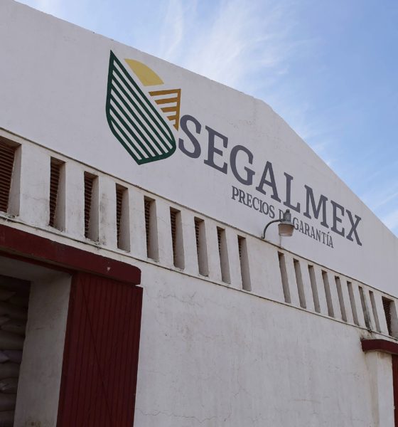 Segalmex