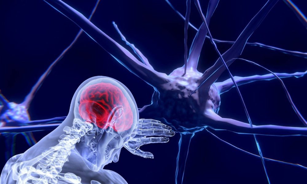 Presentan ley que busca proteger neuroderechos y evitar manipulación cerebral