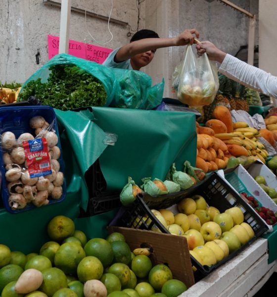 Limón, Cuartoscuro