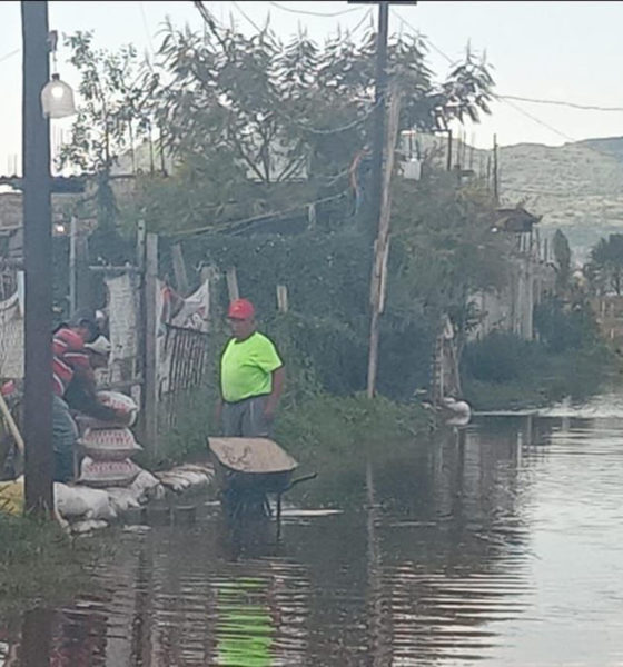 Familias sumergidas en el olvido: Atotolco Chinanco y Mixquic bajo las aguas negras