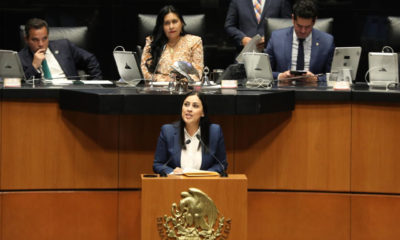 Sobrerepresentación de Morena amenaza al poder judicial y órganos autónomos: PRI