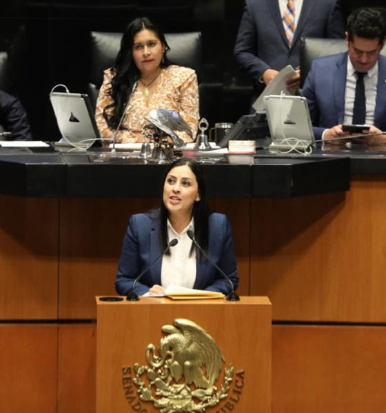 Sobrerepresentación de Morena amenaza al poder judicial y órganos autónomos: PRI