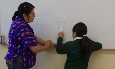 Estudio revela que sólo 29% de docentes Nueva Escuela Mexicana