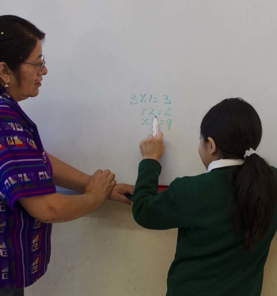 Estudio revela que sólo 29% de docentes Nueva Escuela Mexicana