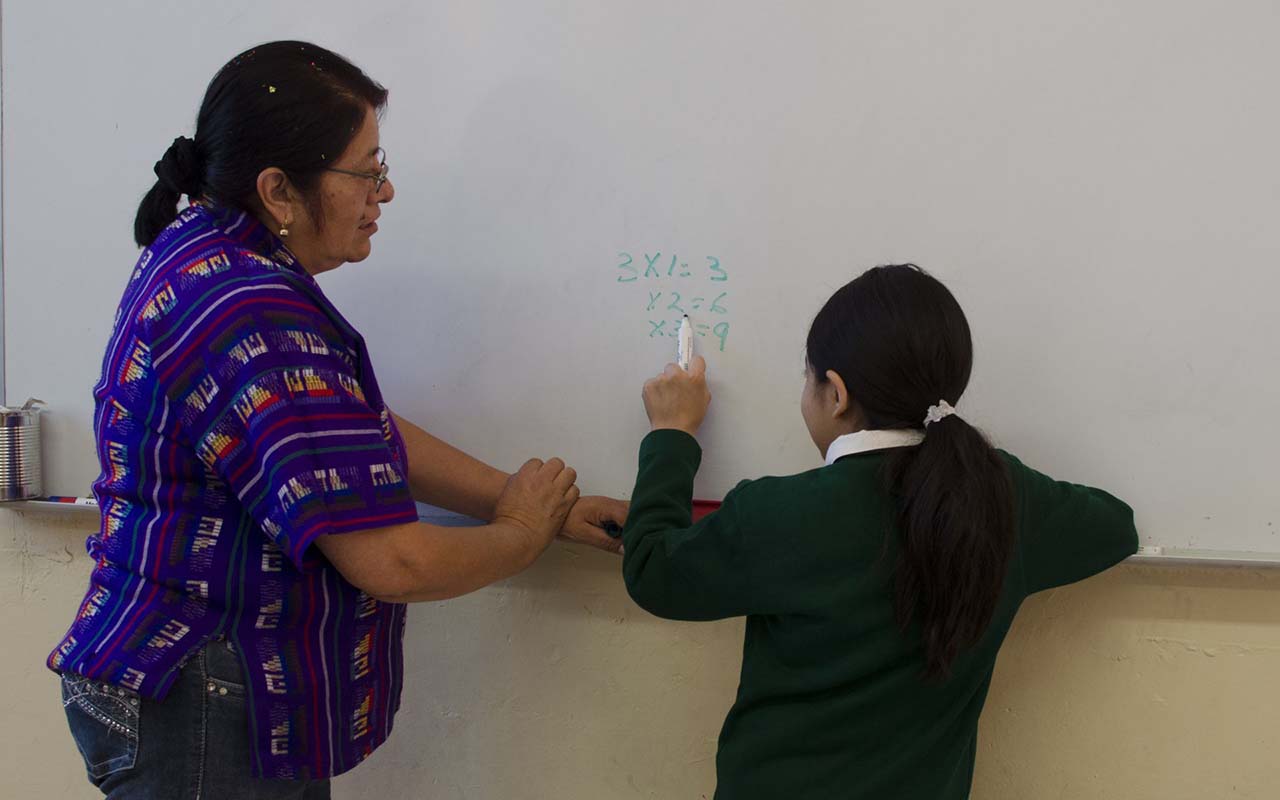 Estudio revela que sólo 29% de docentes Nueva Escuela Mexicana