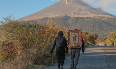 Iglesia Católica pide tregua a grupos criminales en nombre de la Virgen de Guadalupe