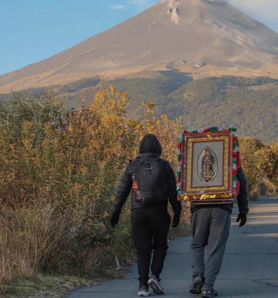 Iglesia Católica pide tregua a grupos criminales en nombre de la Virgen de Guadalupe