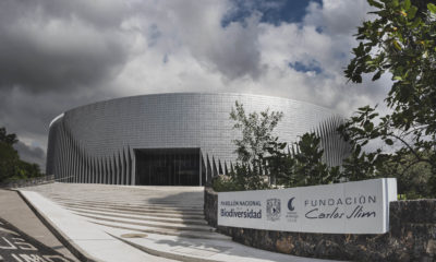 Fundación Slim