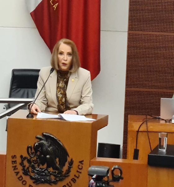 Uno de cada 115 niños en México tiene autismo: Senado abre foro por sus derechos