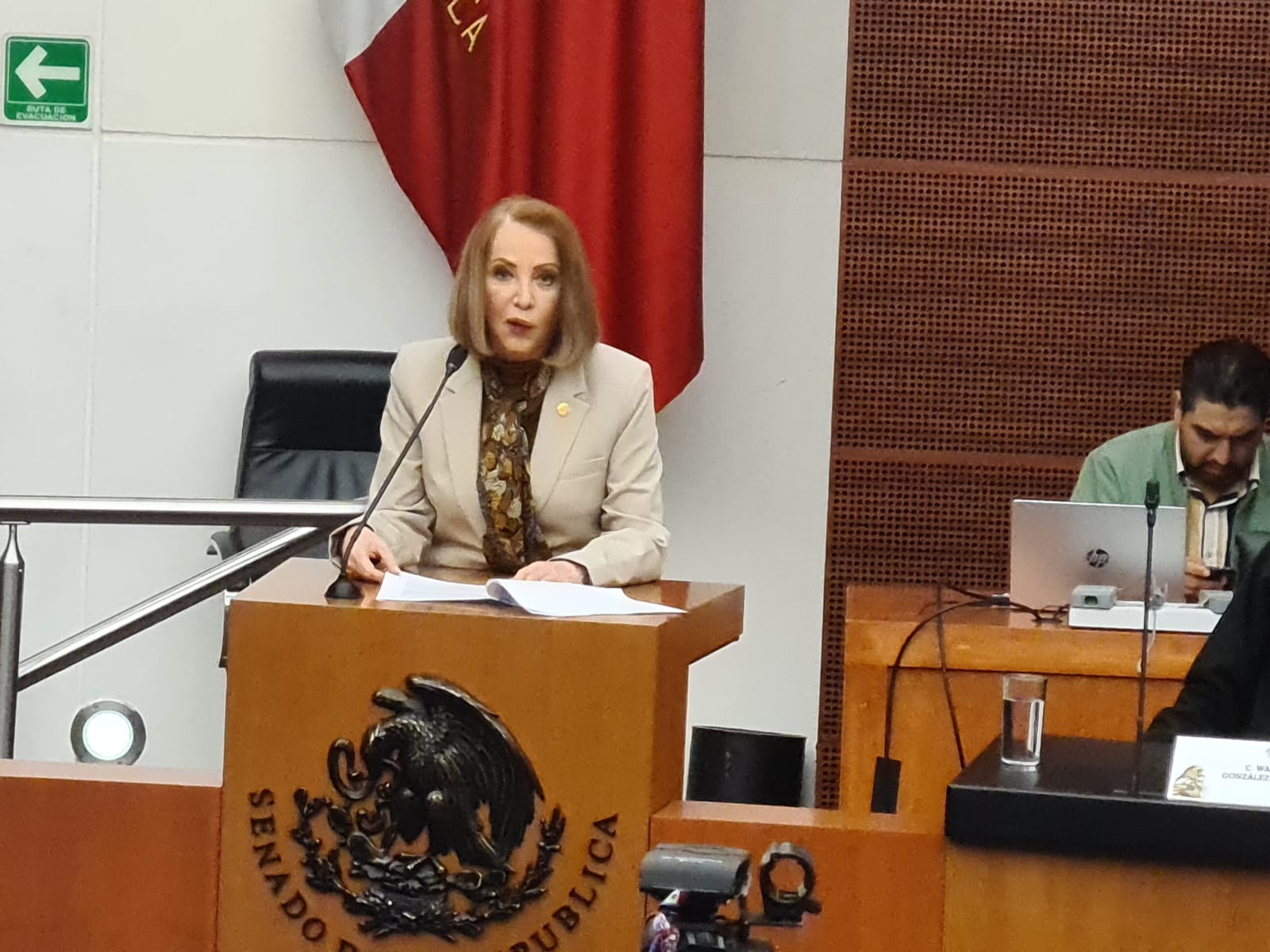 Uno de cada 115 niños en México tiene autismo: Senado abre foro por sus derechos