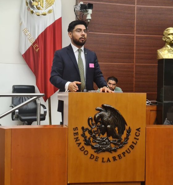 Luis Peña Cruz, director de Representación Jurídica de la Procuraduría Federal de Protección del Sistema DIF