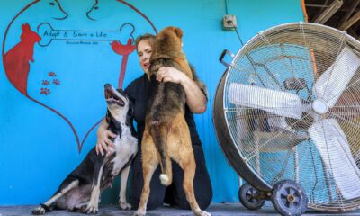 Adopt and Save a Life Rescue Mission