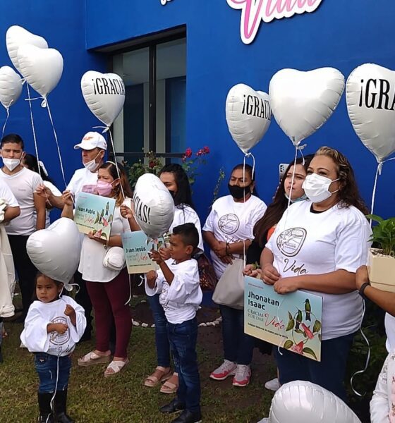 Donación de órganos