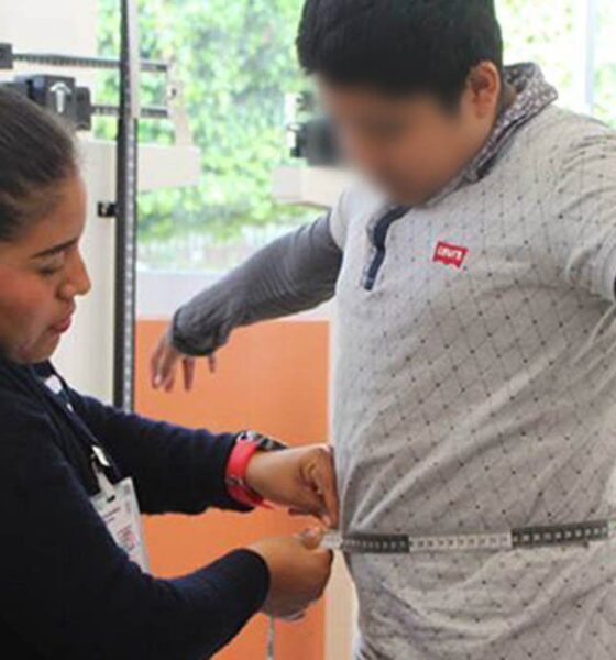 Obesidad y desnutrición infantil México