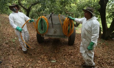 FOTO: JUAN JOSÉ ESTRADA SERAFÍN /CUARTOSCURO.COM