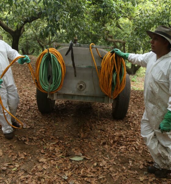 FOTO: JUAN JOSÉ ESTRADA SERAFÍN /CUARTOSCURO.COM