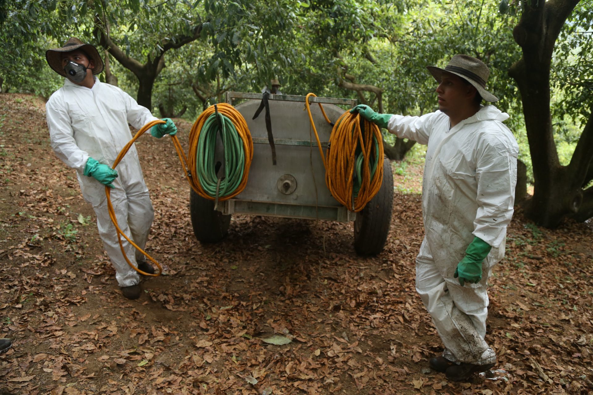 FOTO: JUAN JOSÉ ESTRADA SERAFÍN /CUARTOSCURO.COM