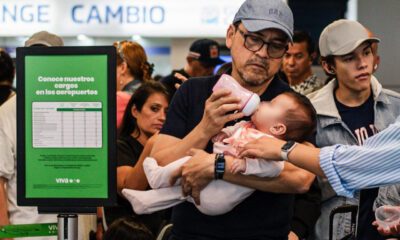 Agua en la vida del bebé: cuándo y cómo comenzar