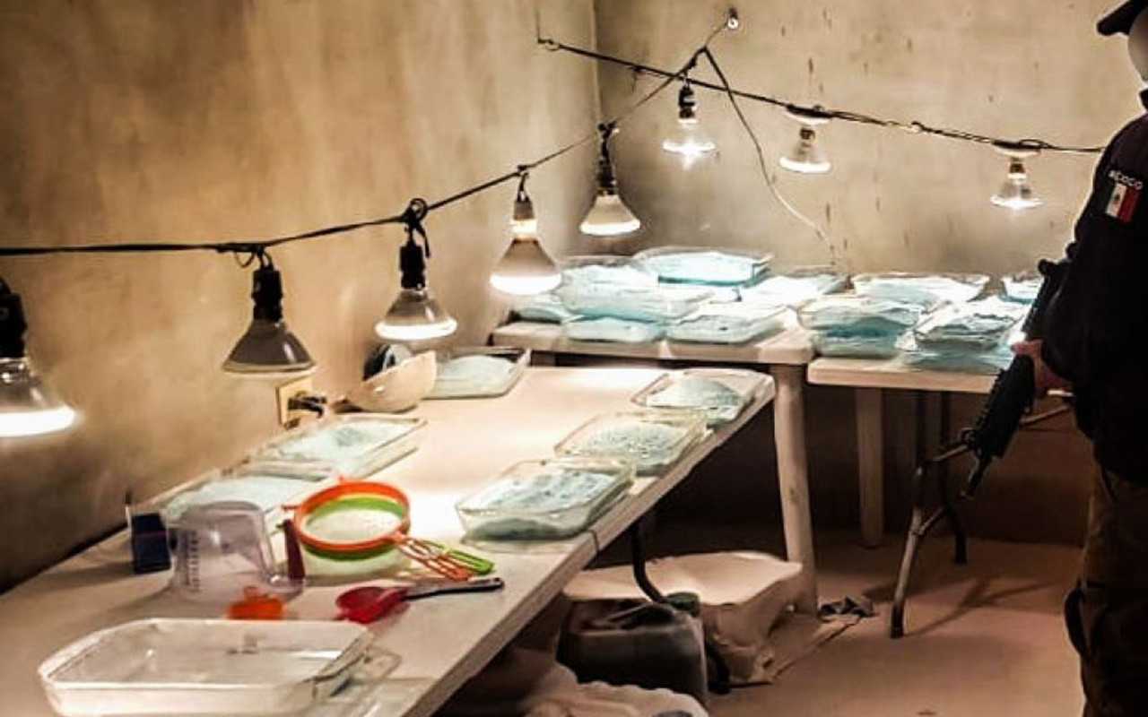 Fentanilo y alcohol, las adicciones que más amenazan la vida familiar en México