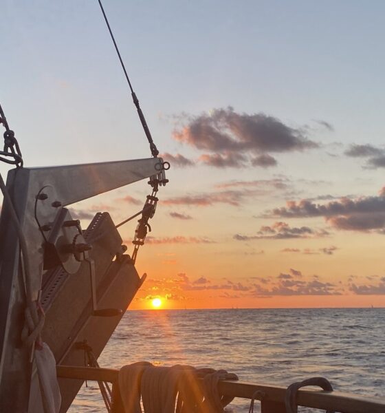 FOTO: CORTESÍA DE LA CUENTA OFICIAL DE X DE ARLIN MEDRANO (@arlinmedrano_)