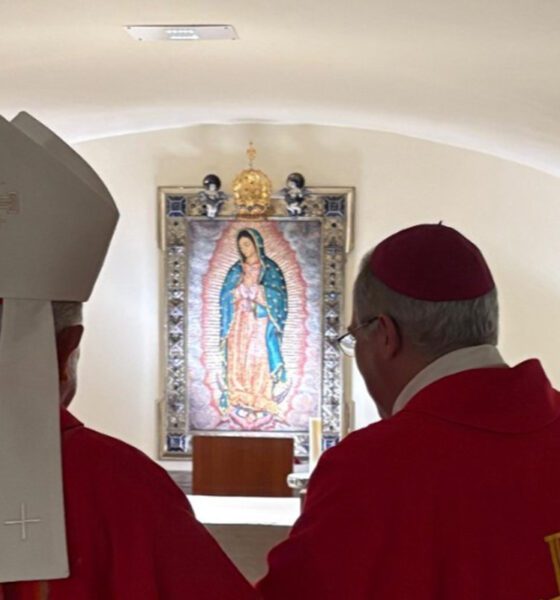 Desde la concepción hasta la maternidad: Iglesia llama a proteger a los más vulnerables