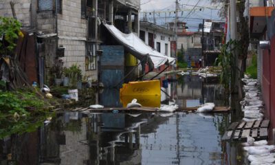 México vive la conversación ambiental entre el miedo y la soledad