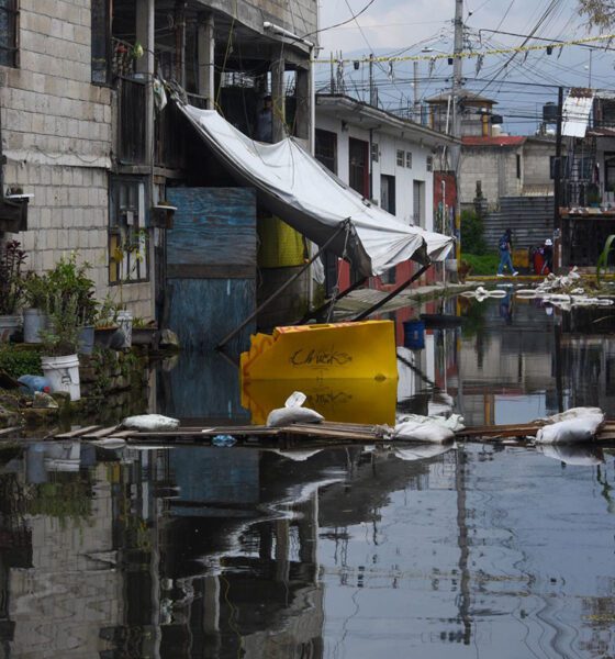 México vive la conversación ambiental entre el miedo y la soledad